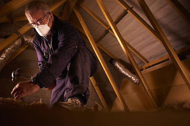 Best Energy Efficiency Insulation in Browns Point, WA